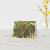 Redwood Trees at Muir Woods National Monument カード (黄色い花)