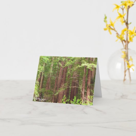 Redwood Trees at Muir Woods National Monument カード (黄色い花)