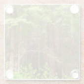 Redwood Trees at Muir Woods National Monument ガラスコースター (裏面)
