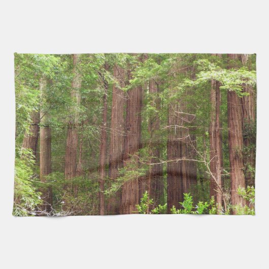 Redwood Trees at Muir Woods National Monument キッチンタオル (横)