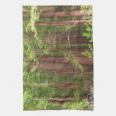 Redwood Trees at Muir Woods National Monument キッチンタオル (縦)
