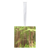Redwood Trees at Muir Woods National Monument キューブオーナメント (右)
