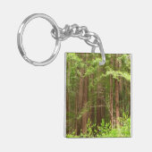 Redwood Trees at Muir Woods National Monument キーホルダー (正面左)
