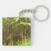 Redwood Trees at Muir Woods National Monument キーホルダー (裏面)