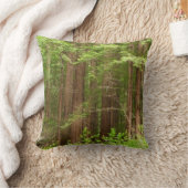 Redwood Trees at Muir Woods National Monument クッション (ブランケット)