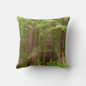 Redwood Trees at Muir Woods National Monument クッション (裏面)