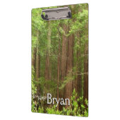 Redwood Trees at Muir Woods National Monument クリップボード (左)