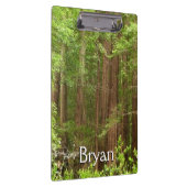Redwood Trees at Muir Woods National Monument クリップボード (右)
