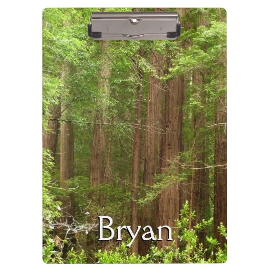 Redwood Trees at Muir Woods National Monument クリップボード (正面)