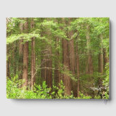 Redwood Trees at Muir Woods National Monument ゲストブック (裏面)