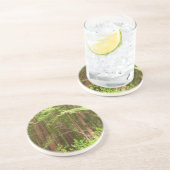 Redwood Trees at Muir Woods National Monument コースター (側面)