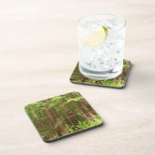 Redwood Trees at Muir Woods National Monument コースター (右側)