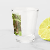 Redwood Trees at Muir Woods National Monument ショットグラス (右)