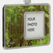 Redwood Trees at Muir Woods National Monument シルバープレートフレームオーナメント (右)