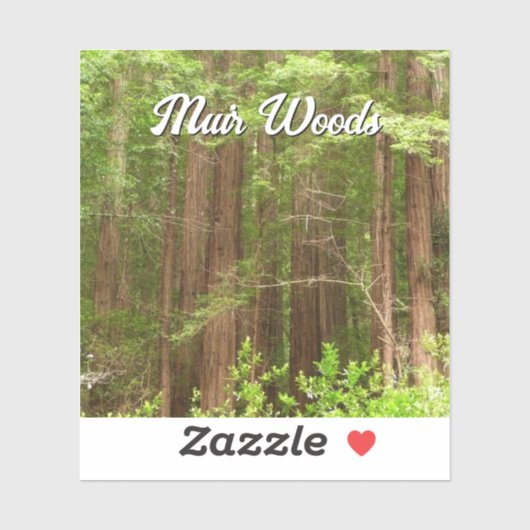 Redwood Trees at Muir Woods National Monument シール (シート)