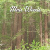 Redwood Trees at Muir Woods National Monument シール (正面)