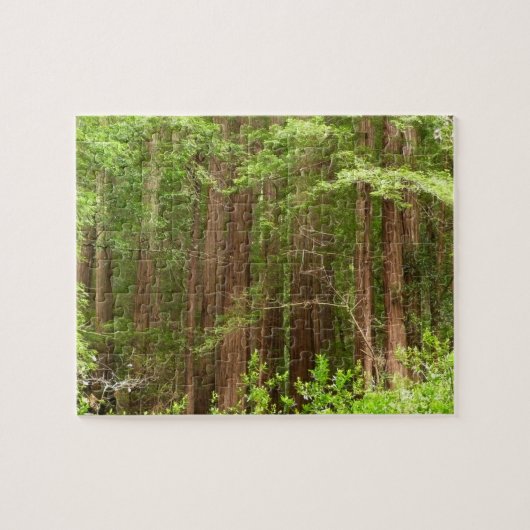 Redwood Trees at Muir Woods National Monument ジグソーパズル (横)