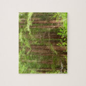 Redwood Trees at Muir Woods National Monument ジグソーパズル (縦)