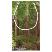 Redwood Trees at Muir Woods National Monument スモールペーパーバッグ (裏面)