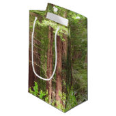 Redwood Trees at Muir Woods National Monument スモールペーパーバッグ (正面アングル)