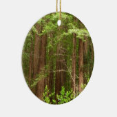Redwood Trees at Muir Woods National Monument セラミックオーナメント (右)