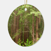 Redwood Trees at Muir Woods National Monument セラミックオーナメント (左)