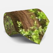 Redwood Trees at Muir Woods National Monument ネクタイ (ロール)