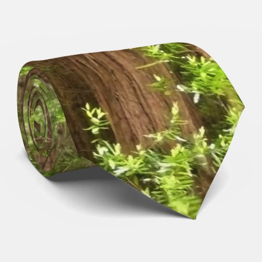Redwood Trees at Muir Woods National Monument ネクタイ (ロール)