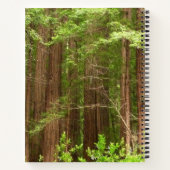 Redwood Trees at Muir Woods National Monument ノートブック (裏面)