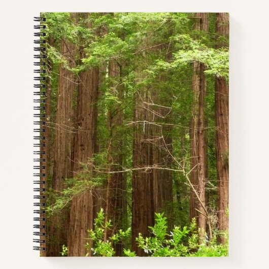 Redwood Trees at Muir Woods National Monument ノートブック (正面)