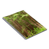 Redwood Trees at Muir Woods National Monument ノートブック (右側)