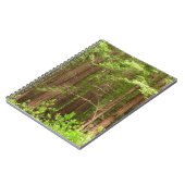 Redwood Trees at Muir Woods National Monument ノートブック (左側)