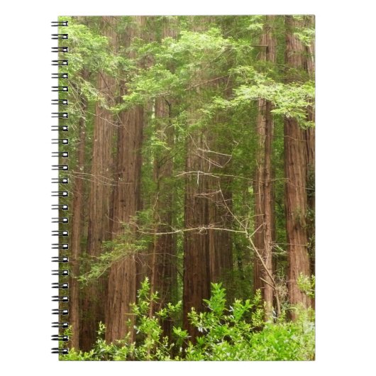 Redwood Trees at Muir Woods National Monument ノートブック (正面)