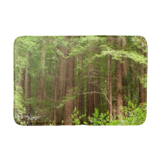 Redwood Trees at Muir Woods National Monument バスマット (正面)