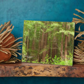 Redwood Trees at Muir Woods National Monument フォトプラーク (側面)