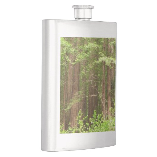 Redwood Trees at Muir Woods National Monument フラスク (右)