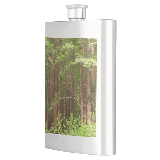 Redwood Trees at Muir Woods National Monument フラスク (左)