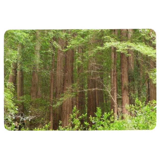 Redwood Trees at Muir Woods National Monument フロアマット (正面)