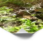 Redwood Trees at Muir Woods National Monument ポスター (コーナー)