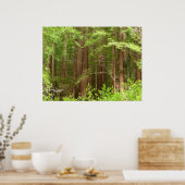 Redwood Trees at Muir Woods National Monument ポスター (キッチン)