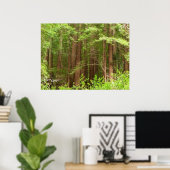 Redwood Trees at Muir Woods National Monument ポスター (ホームオフィス)