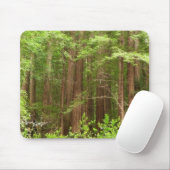 Redwood Trees at Muir Woods National Monument マウスパッド (マウス)