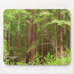 Redwood Trees at Muir Woods National Monument マウスパッド