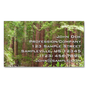 Redwood Trees at Muir Woods National Monument マグネット名刺