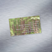 Redwood Trees at Muir Woods National Monument マグネット名刺 (インサイチュ)