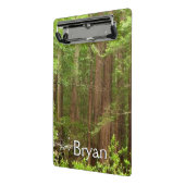 Redwood Trees at Muir Woods National Monument ミニクリップボード (アングル2)