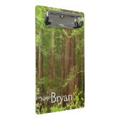 Redwood Trees at Muir Woods National Monument ミニクリップボード (アングル)