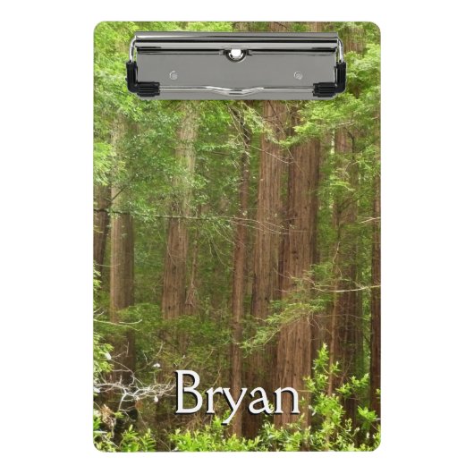 Redwood Trees at Muir Woods National Monument ミニクリップボード (正面)