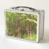 Redwood Trees at Muir Woods National Monument メタルランチボックス (正面)