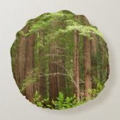 Redwood Trees at Muir Woods National Monument ラウンドクッション (裏面)